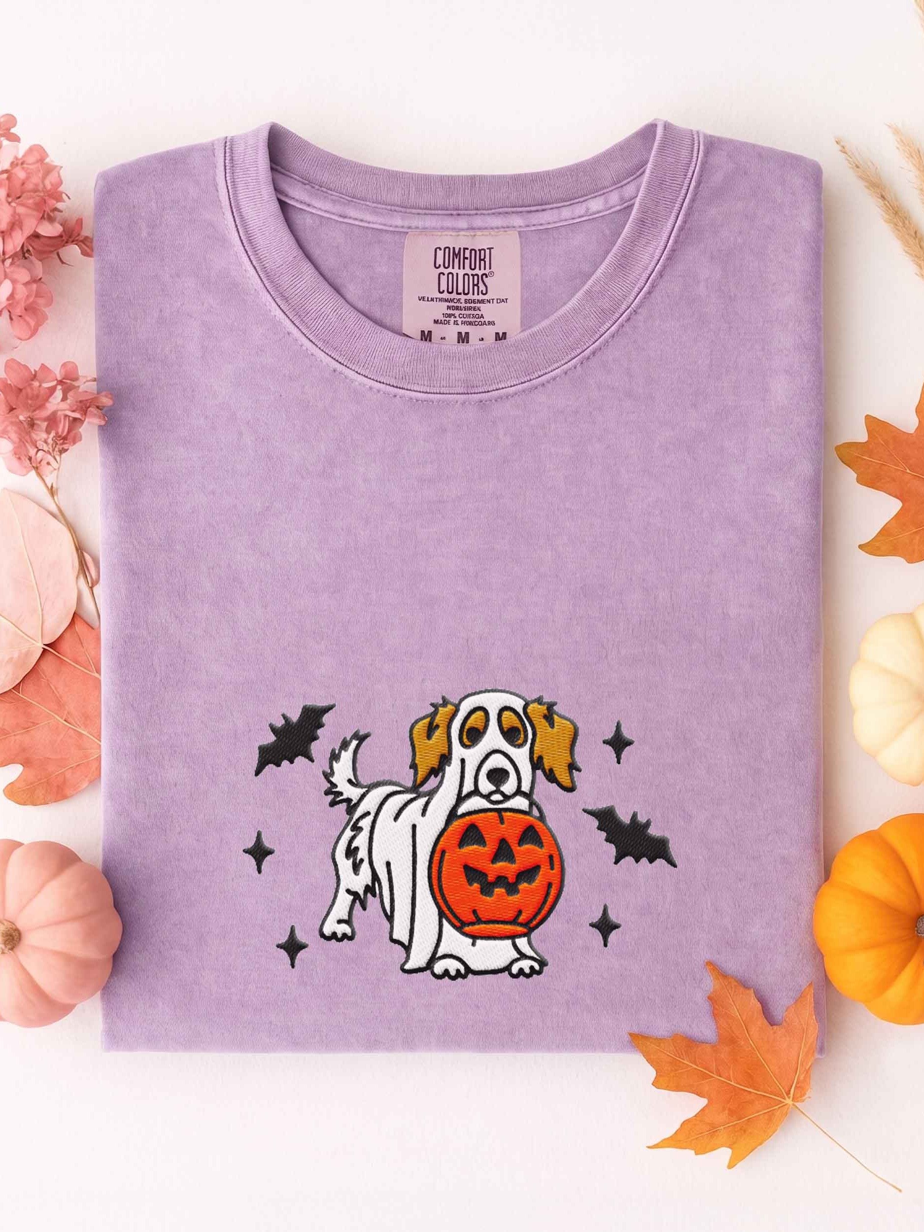 Halloween Longhaired Dachshund(Pied, Brown) Embroidered T-Shirt product image (1)