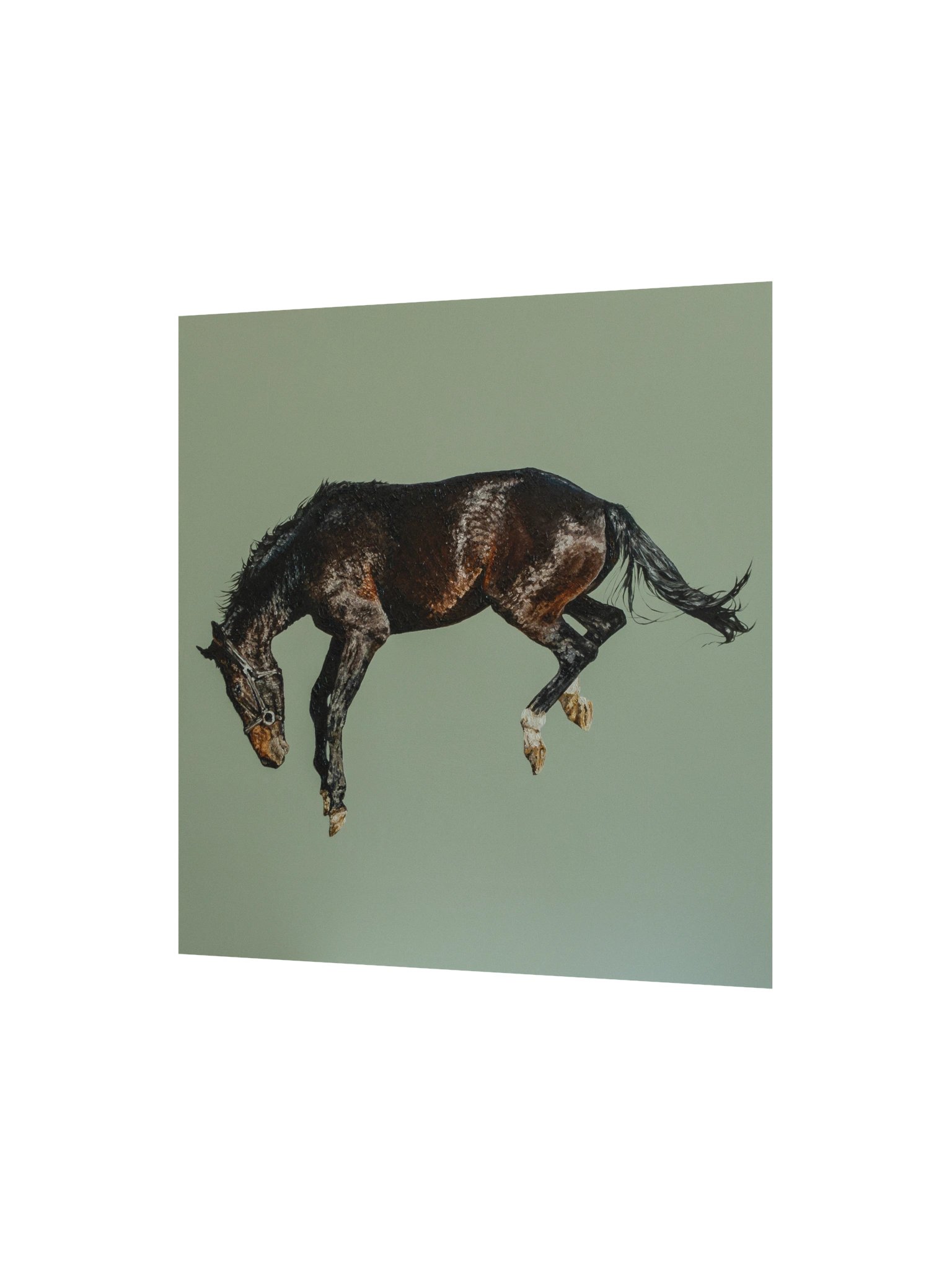 Soaring Freedom Print product image (9)