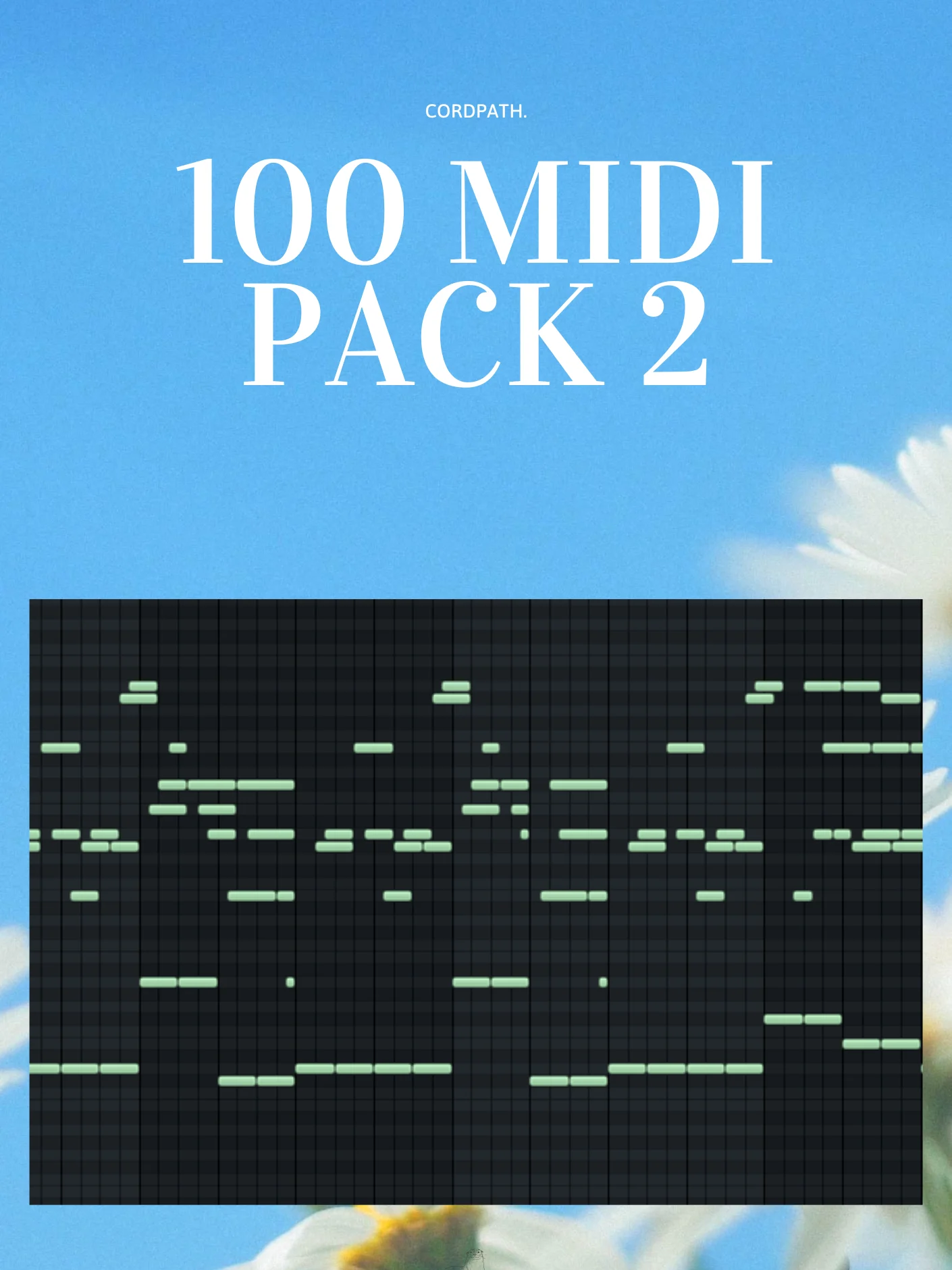 100 midi pack 2 product image (1)