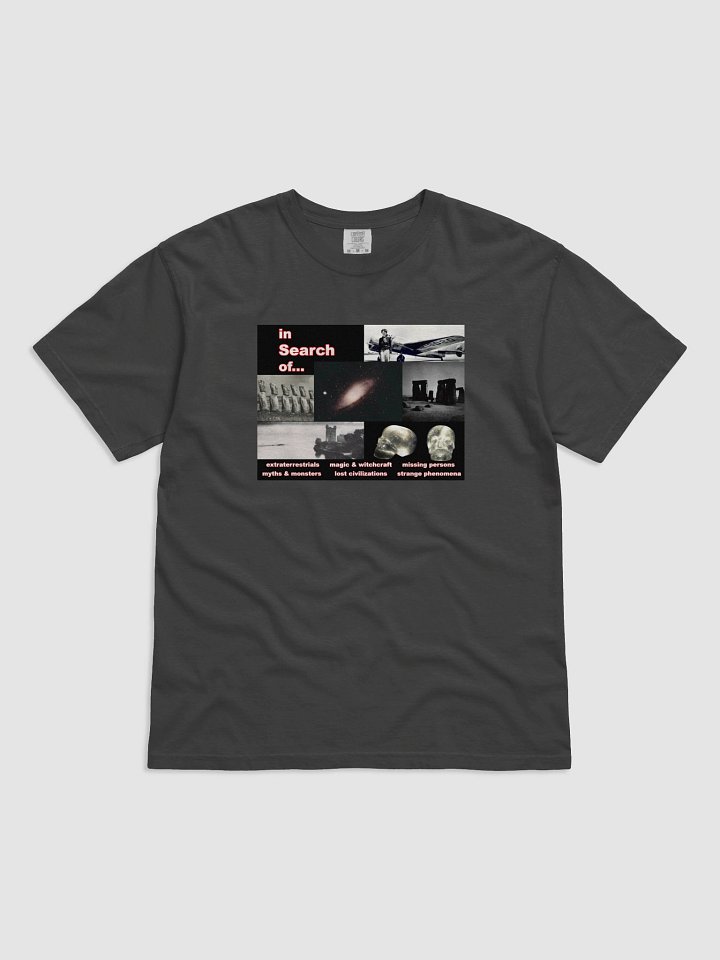 In Search Of... Comfort Colors T-Shirt product image (1)