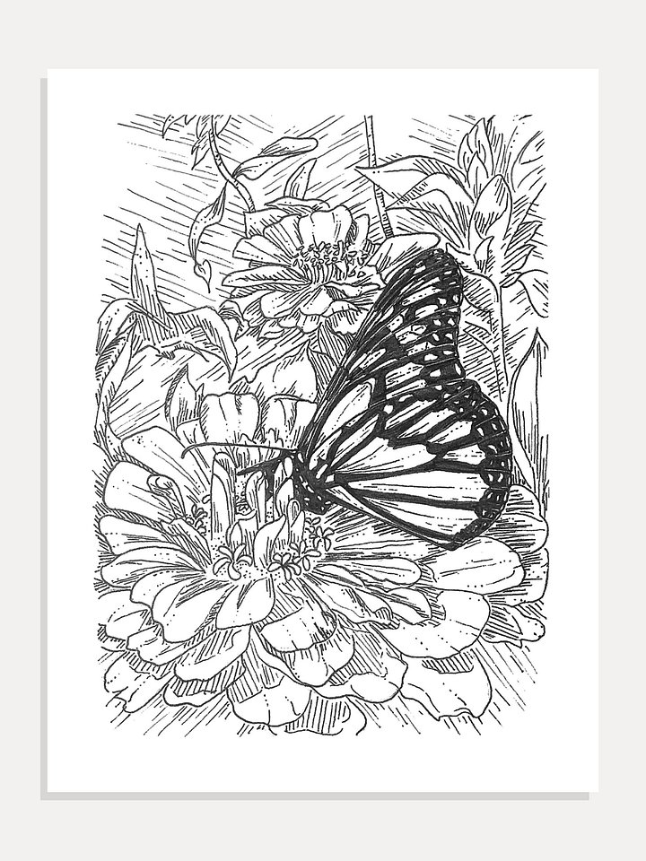 Butterfly in Ink Giclée Art Print product image (1)