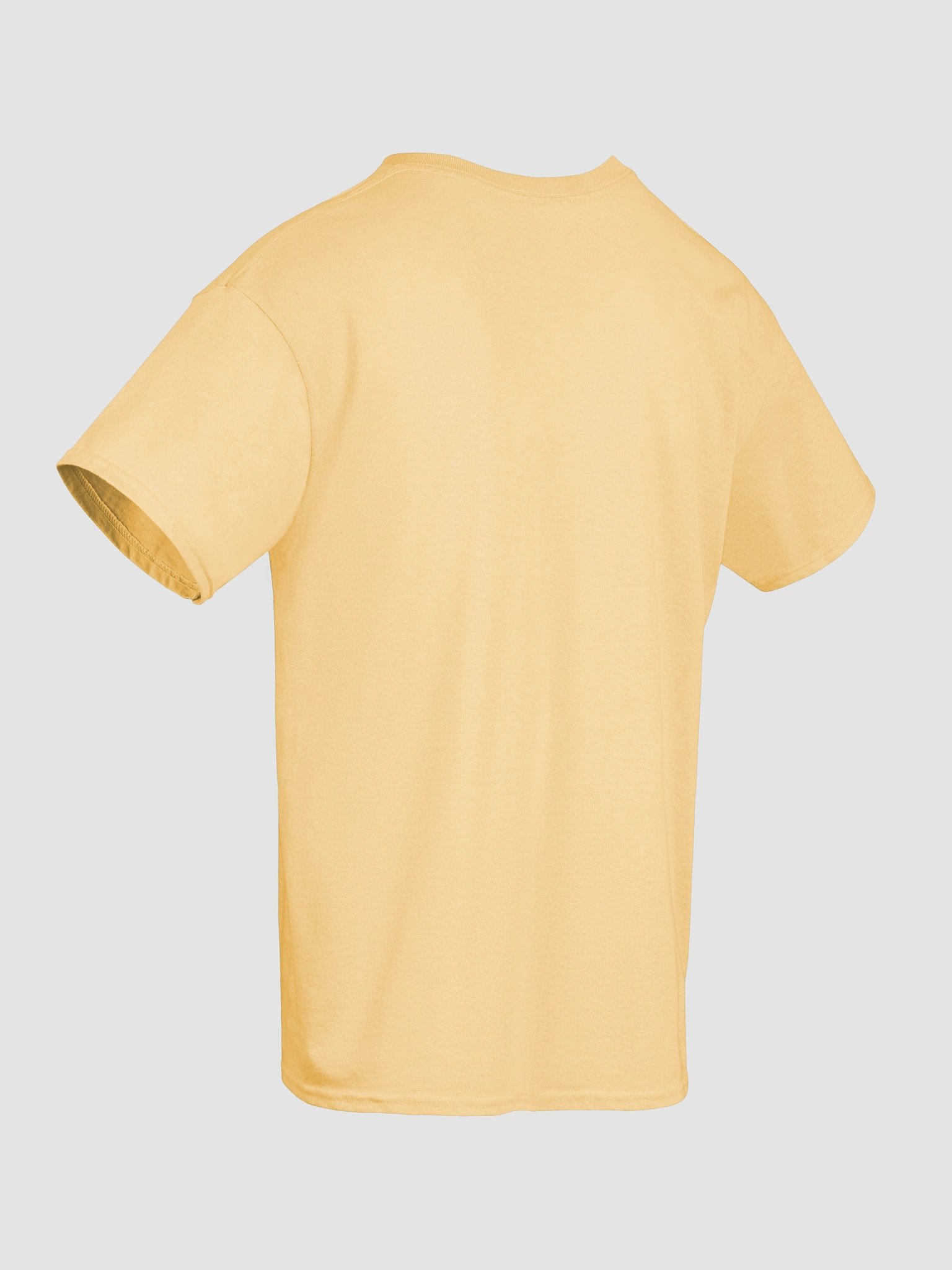 Champion T shirt product image (79)