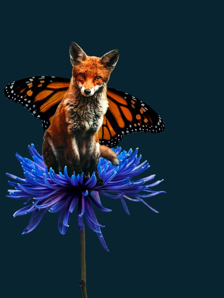 FlutterFox Wallpapers product image (1)