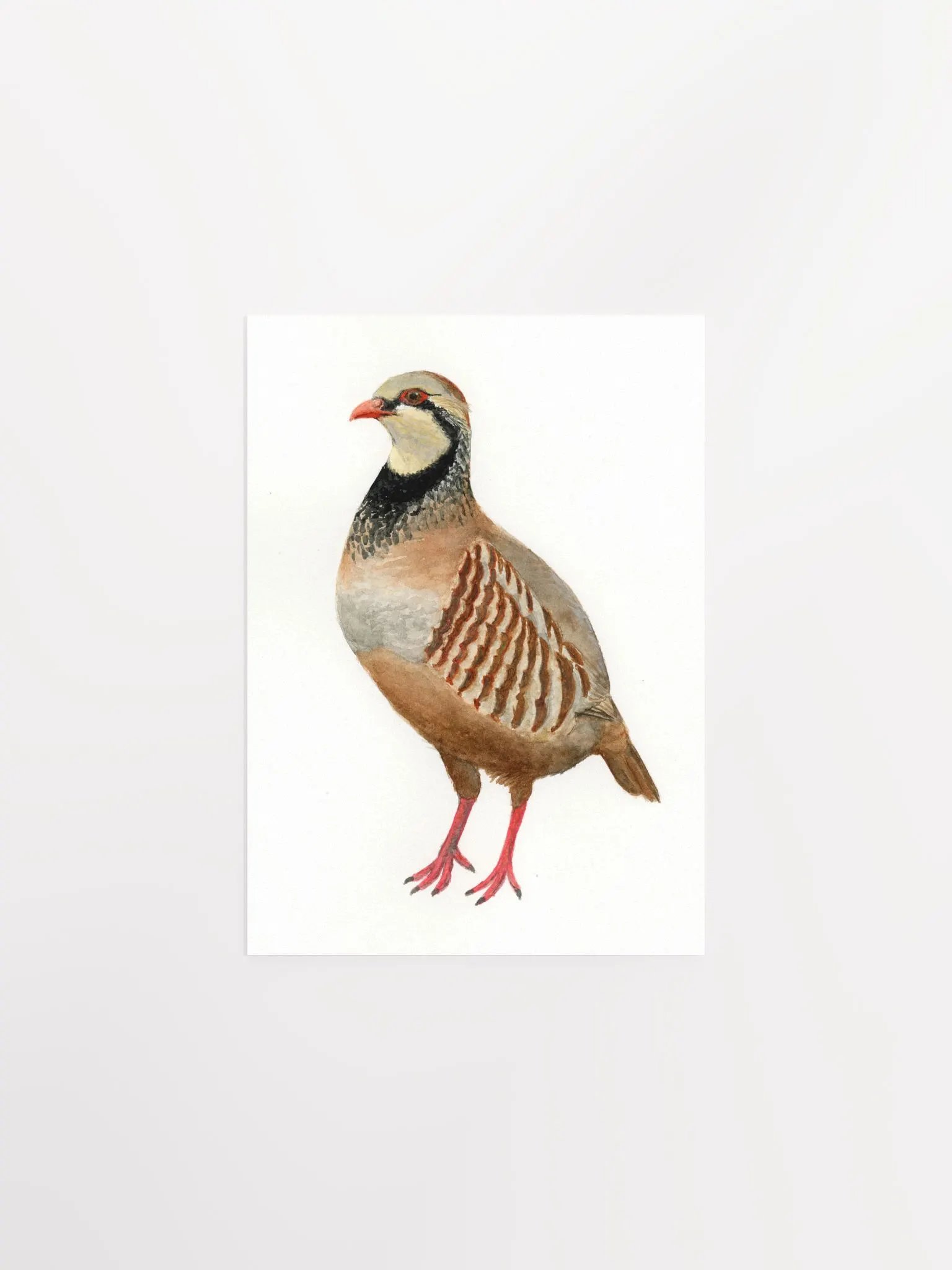 Partridge print product image (1)