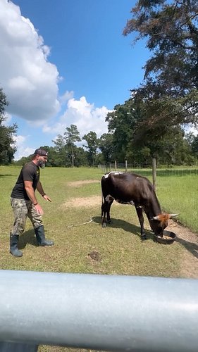 Shoulda listened to the kid. #countryliving #farmlife #swgeorgia #dadfail