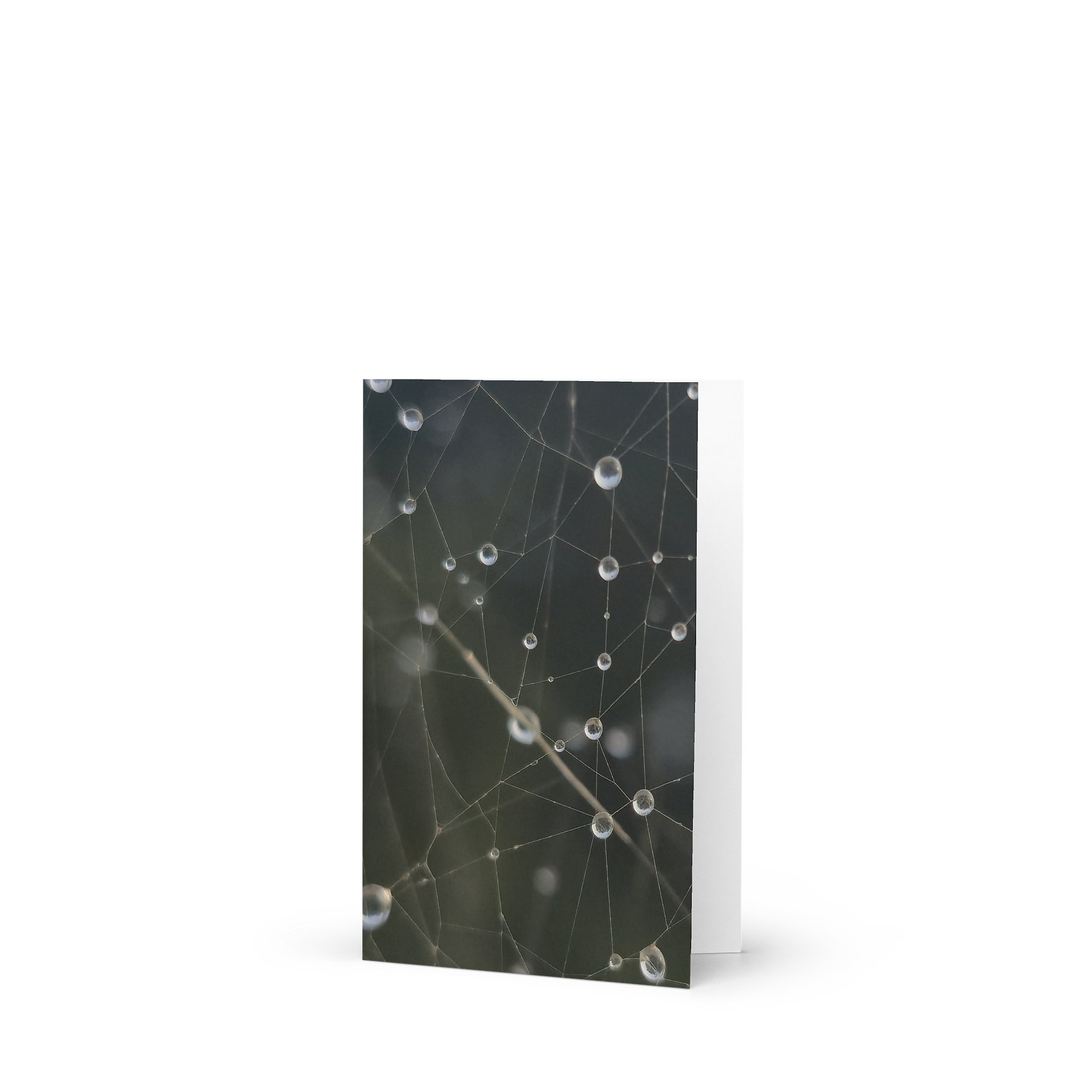 Spiderweb Raindrops Greeting Card product image (1)