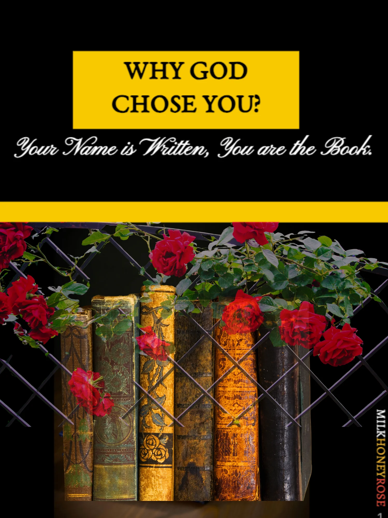 WHY GOD CHOSE YOU product image (1)