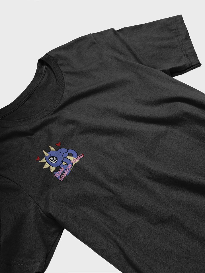 TEAM DS TEE product image (2)