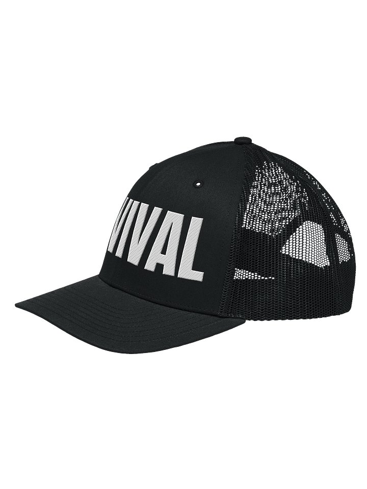 Revival Hat product image (13)