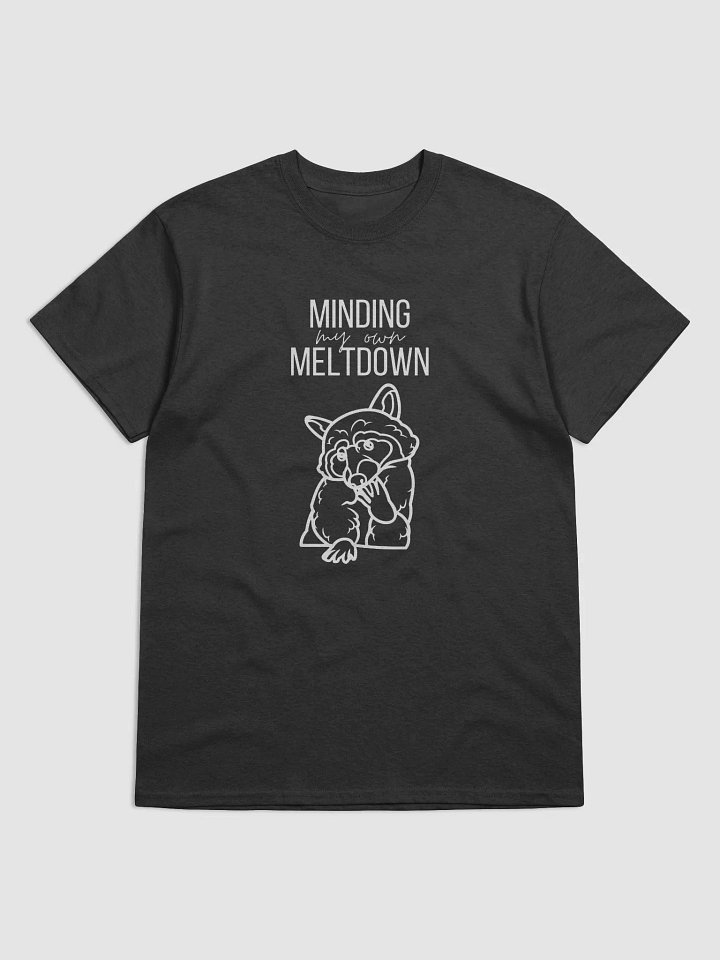 Minding my own Meltdown product image (5)