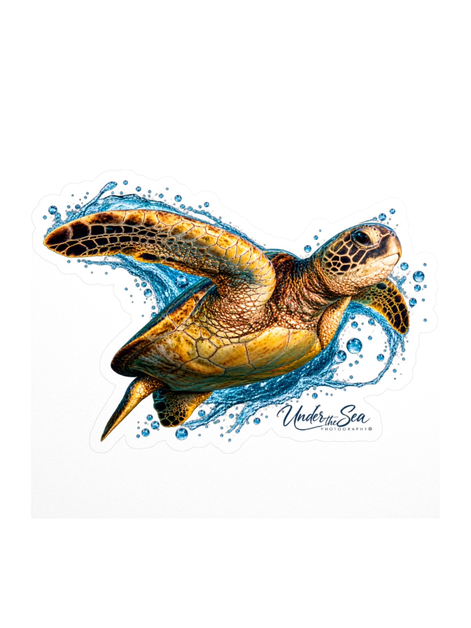 Hawaiian Green in the Blue Sea Turtle Stickers product image (1)