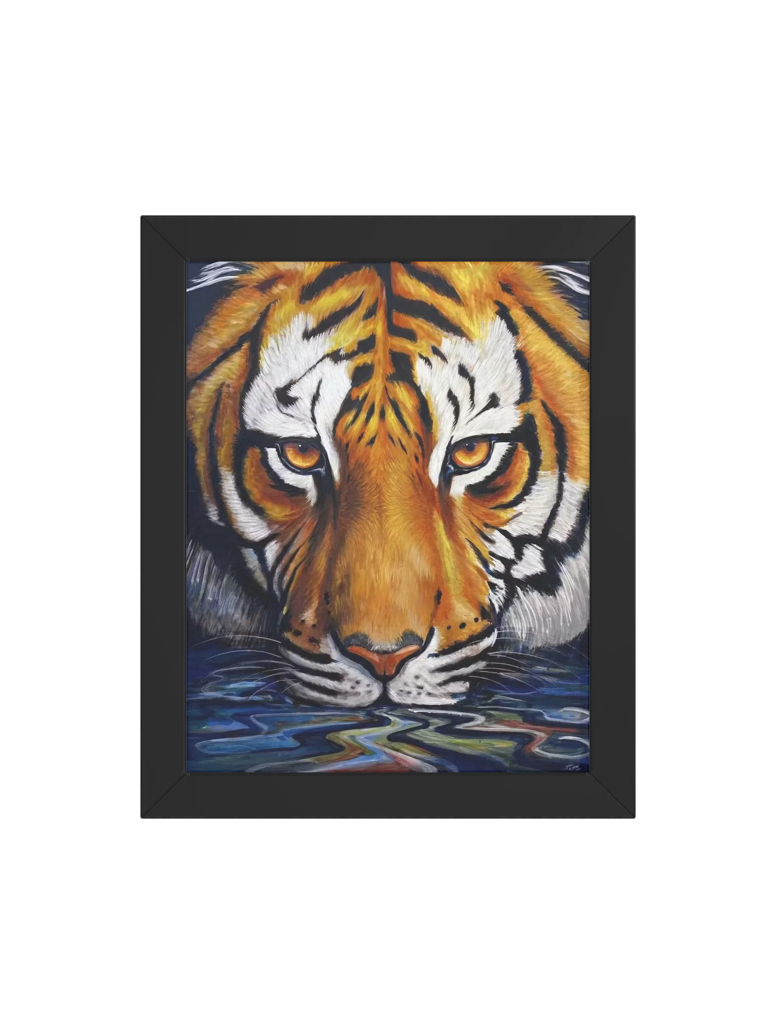 Tigers Gaze product image (4)