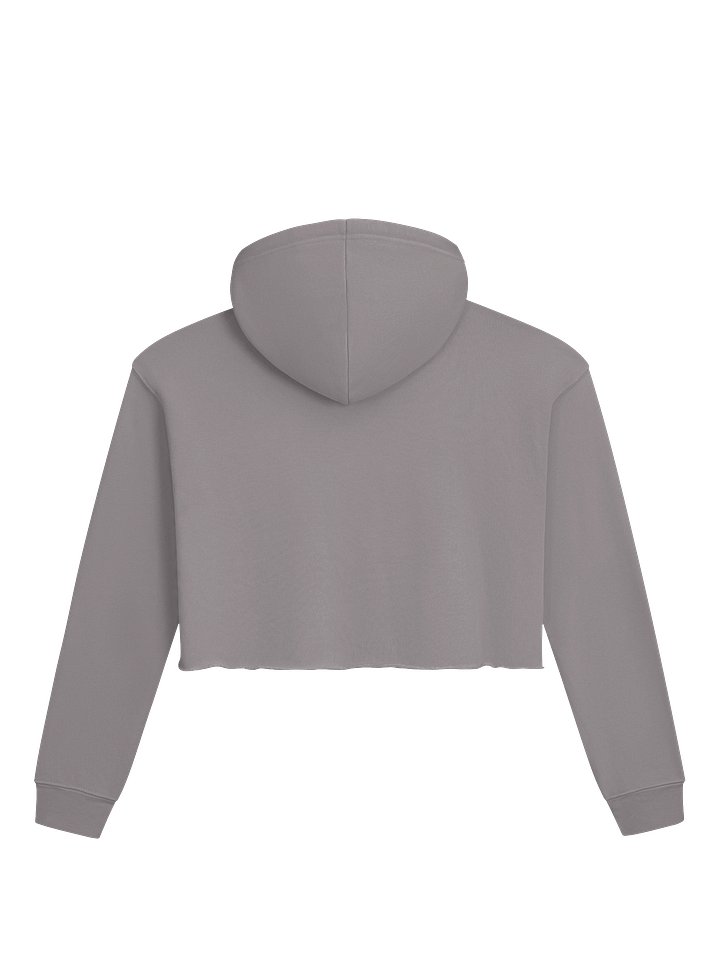 Wink Outdoors - Glamping Crop Fleece Hoodie product image (2)