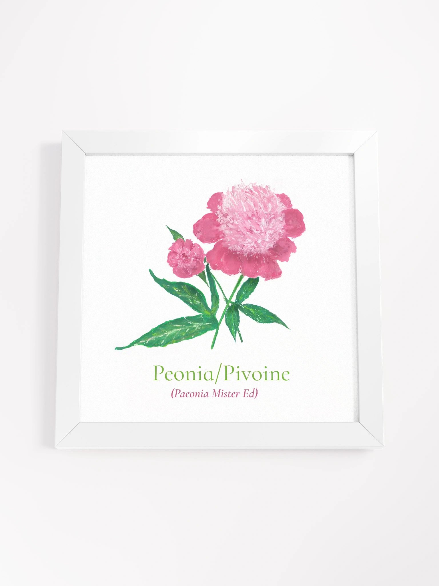 Pivoine Botanicus Frame product image (8)