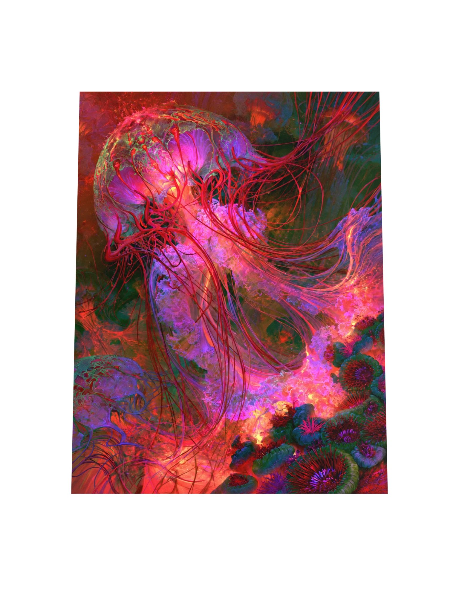Jellyfish Art Print — Crimson Jellyfish product image (4)