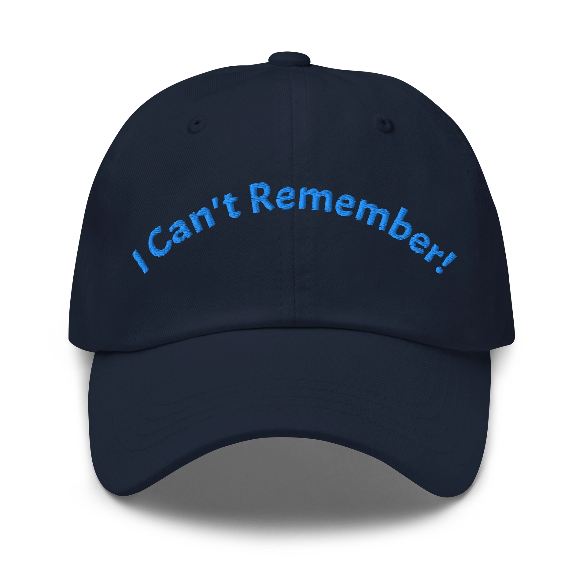 I Can't Remember Embroidered Hat product image (1)