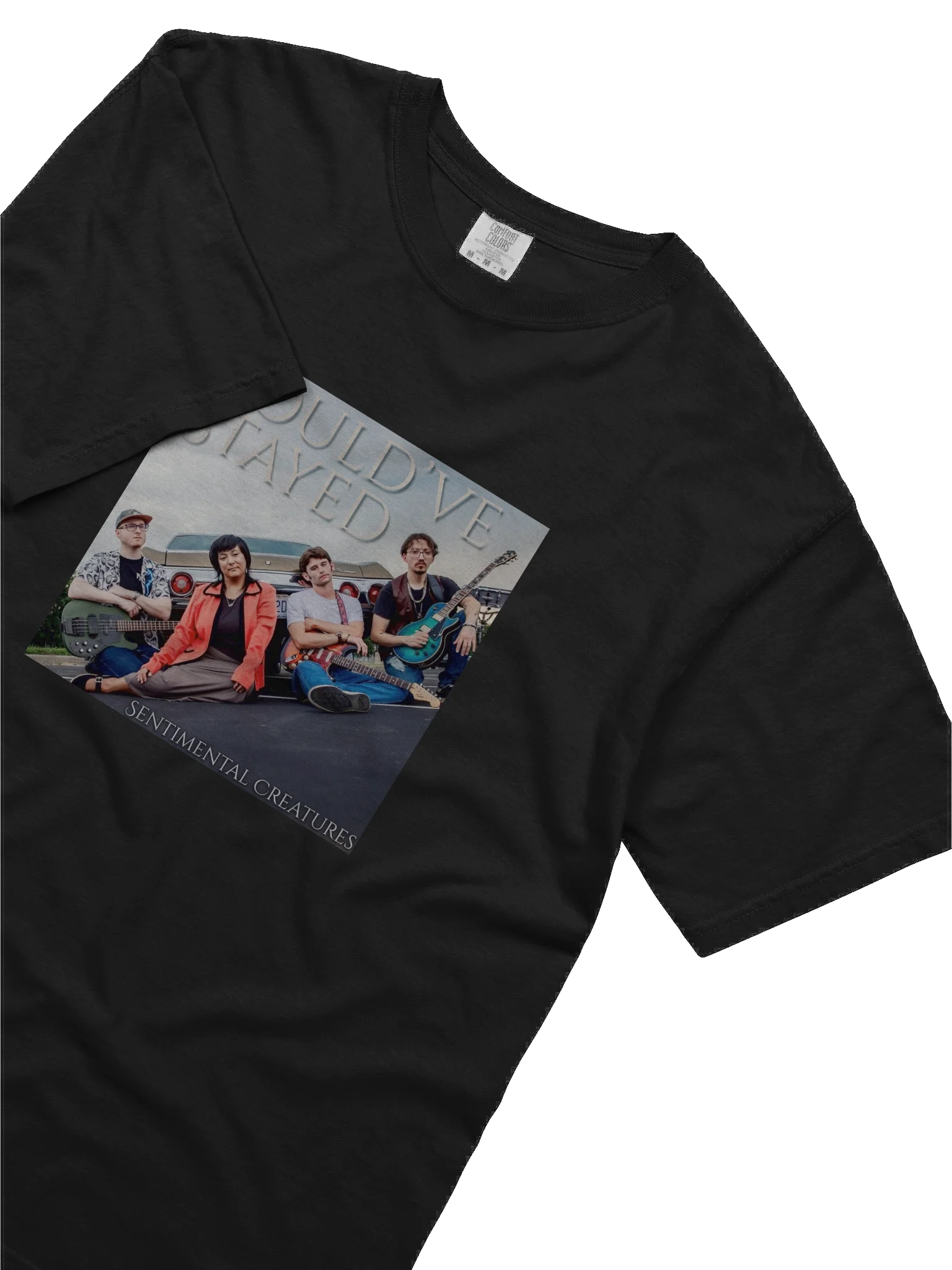 Could've Stayed SINGLE ART Tee product image (14)