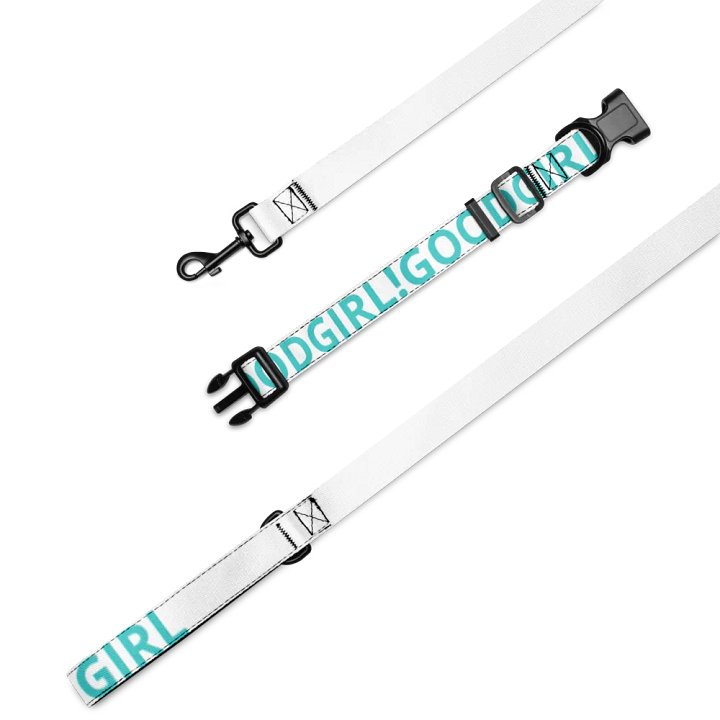 !goodgirl collar and lead product image (1)