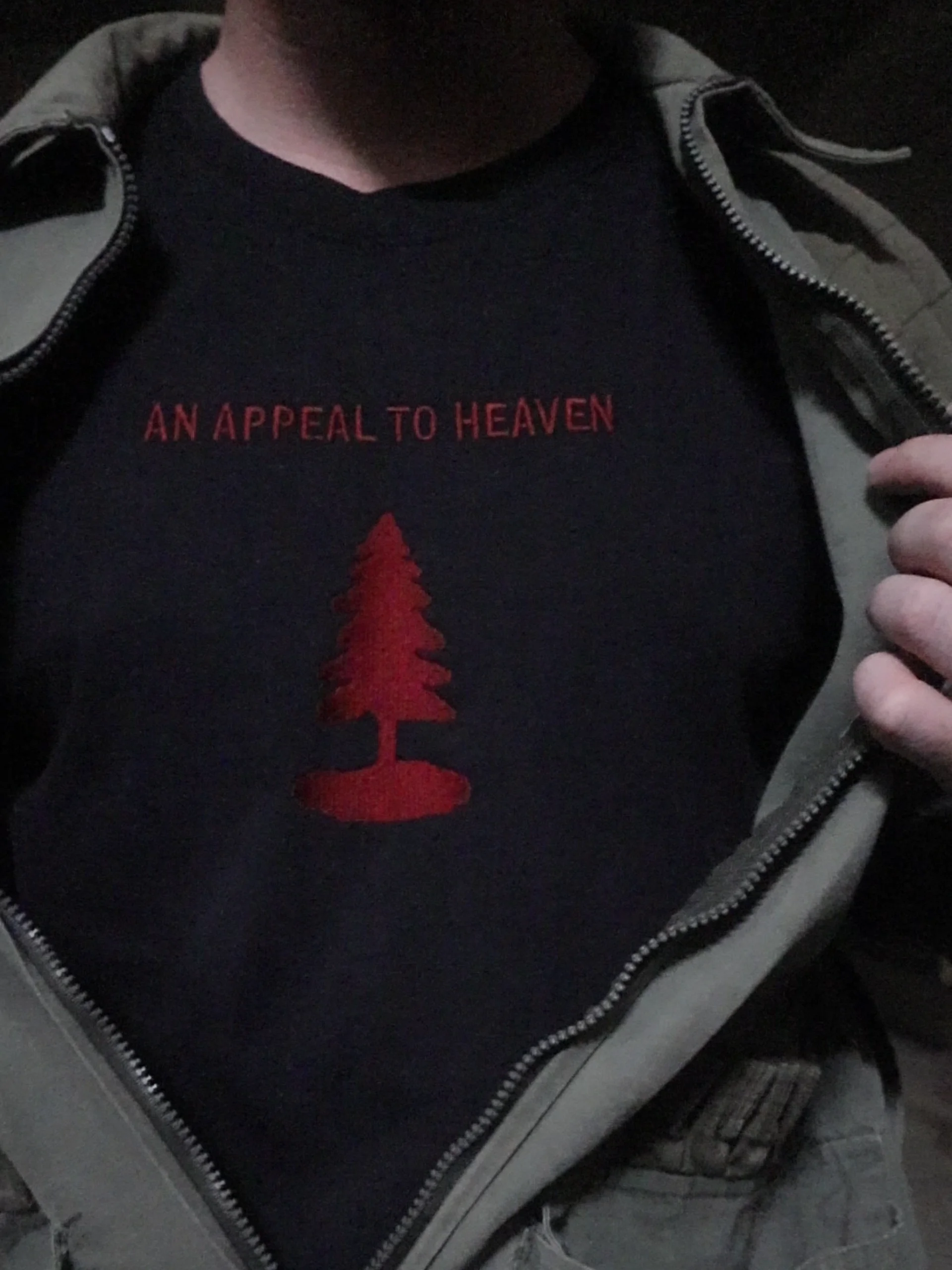 AN APPEAL TO HEAVEN - EMBROIDERY SHIRT product image (8)