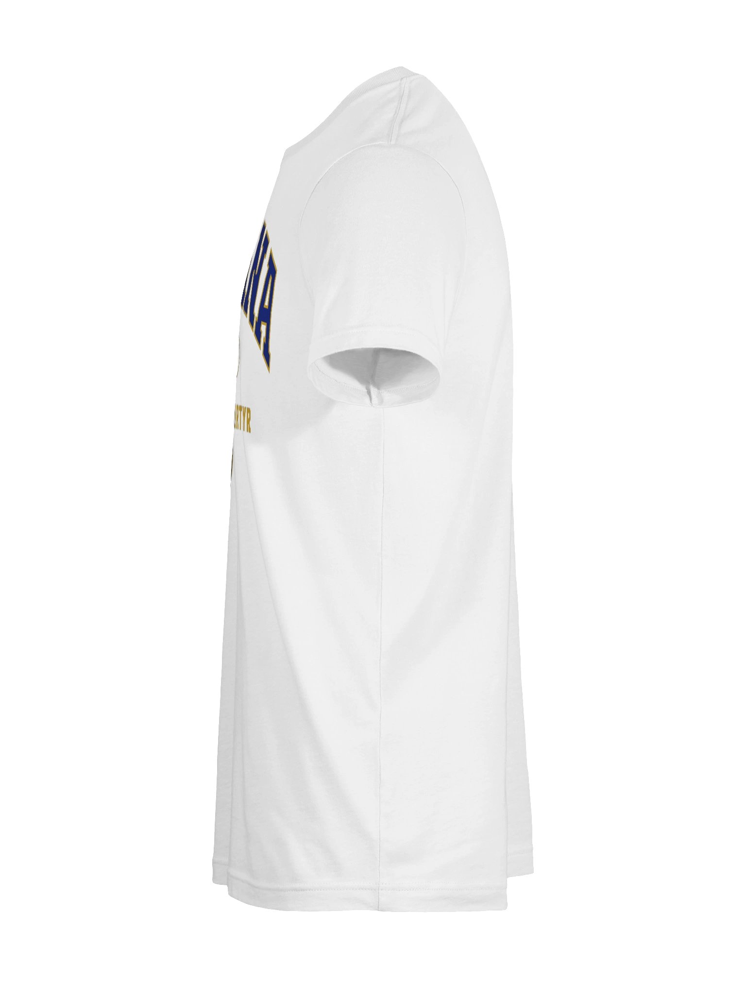 Indiana State 2021 - Tee Shirt product image (71)