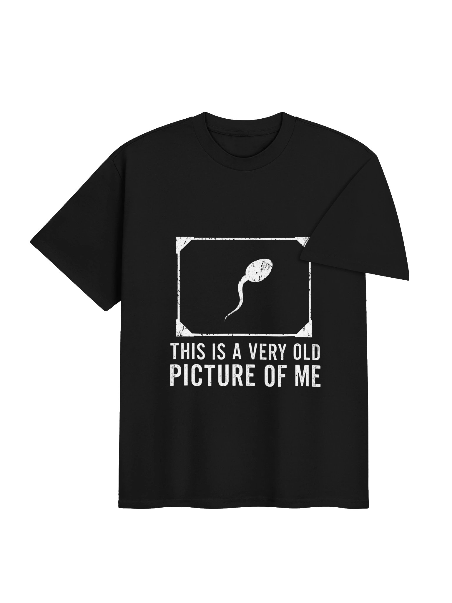 THIS IS A VERY OLD PICTURE OF ME T-Shirt product image (3)