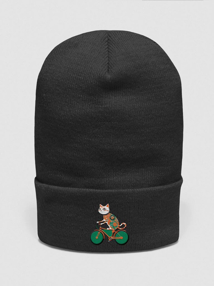 Abstract Cats Riding a bike product image (3)