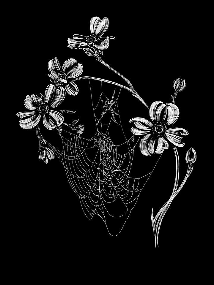 Dogwood product image (2)