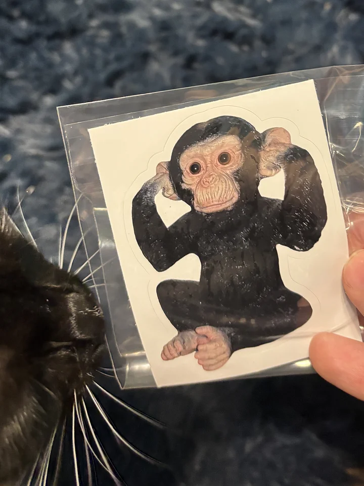 cursed ape sticker product image (2)