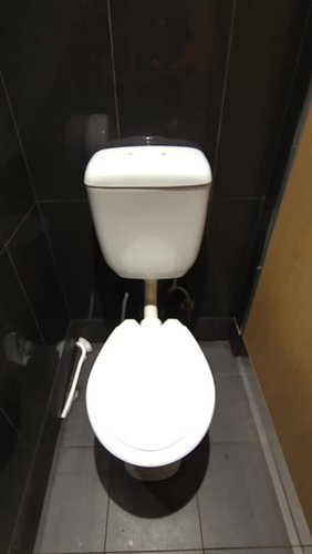 📍 Mt Colah, NSW

Digging the newer dark dunnies 😎​

maccasdunnies.com

#maccasdunnies #mtcolah #visitnsw #toilet #imlovinit