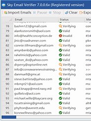 Sky Email Verifier product image (2)