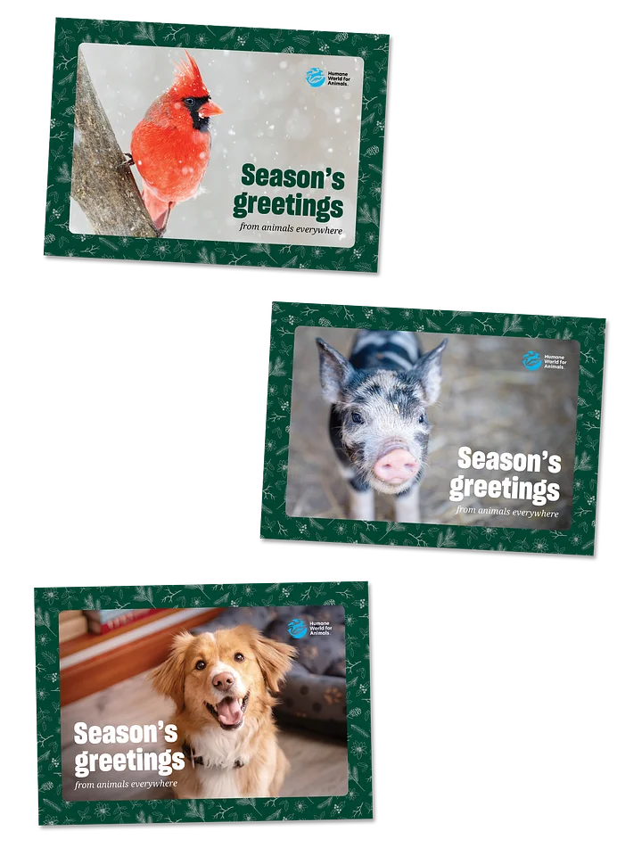 Holiday card bundle  product image (1)