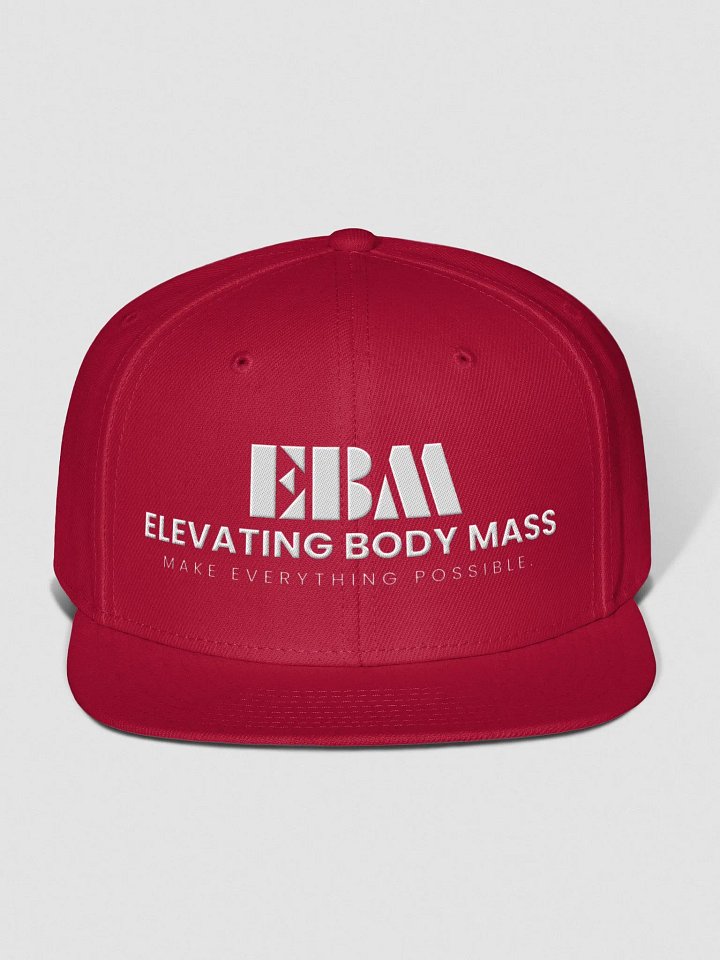 EBM Snap Back Cap (White Logo) product image (1)