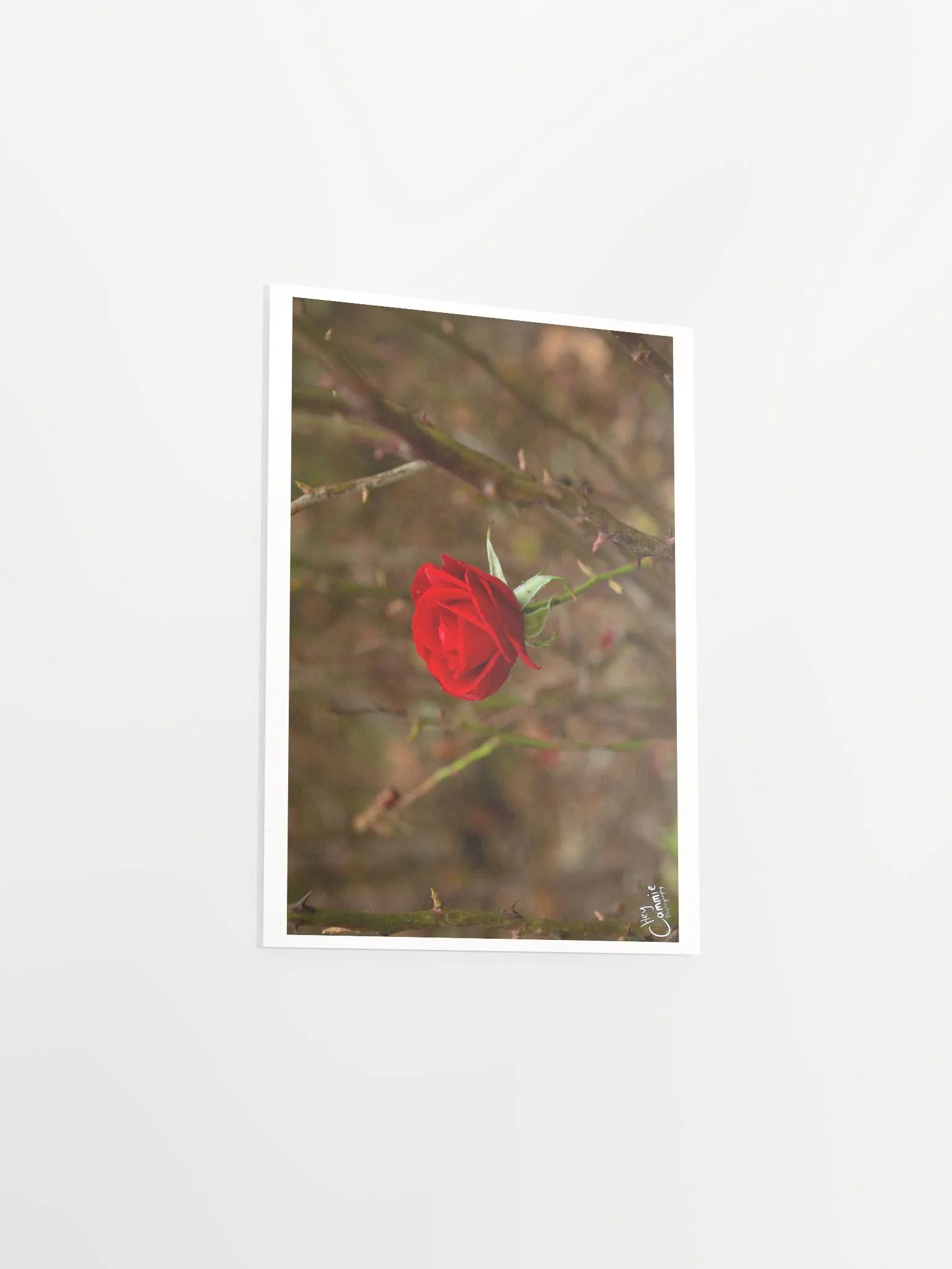 Roses Thorns - Print product image (3)