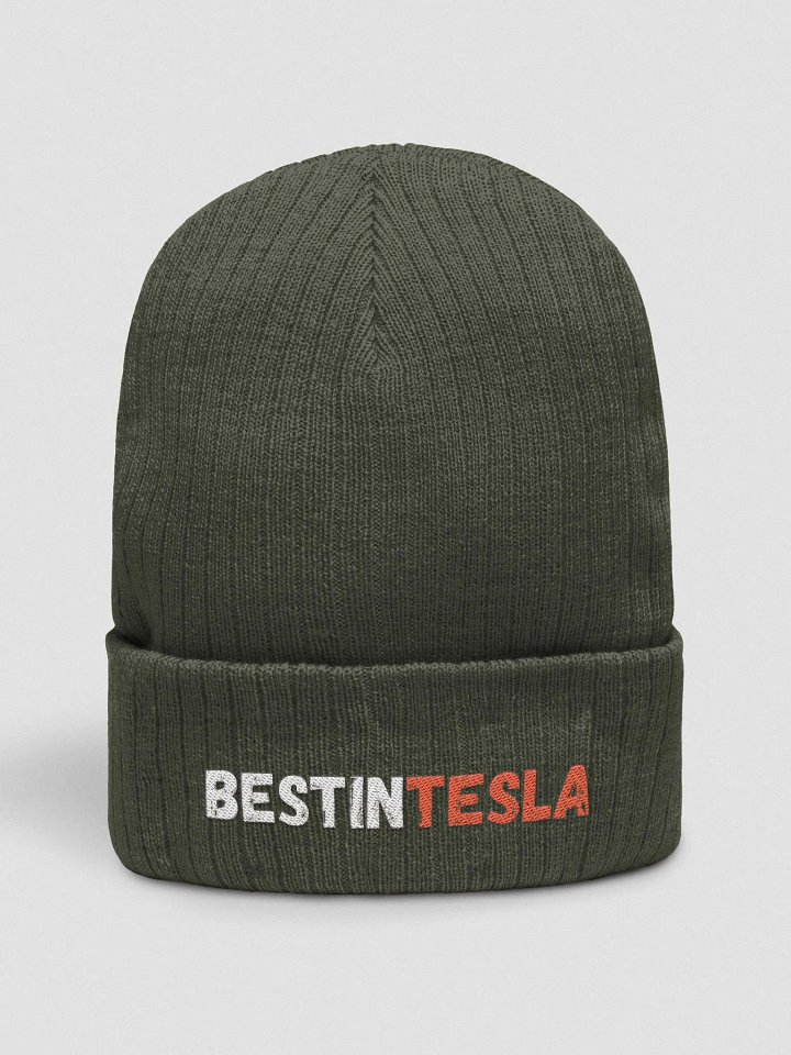 BestInTESLA Atlantis Recycled Cuffed Beanie product image (2)