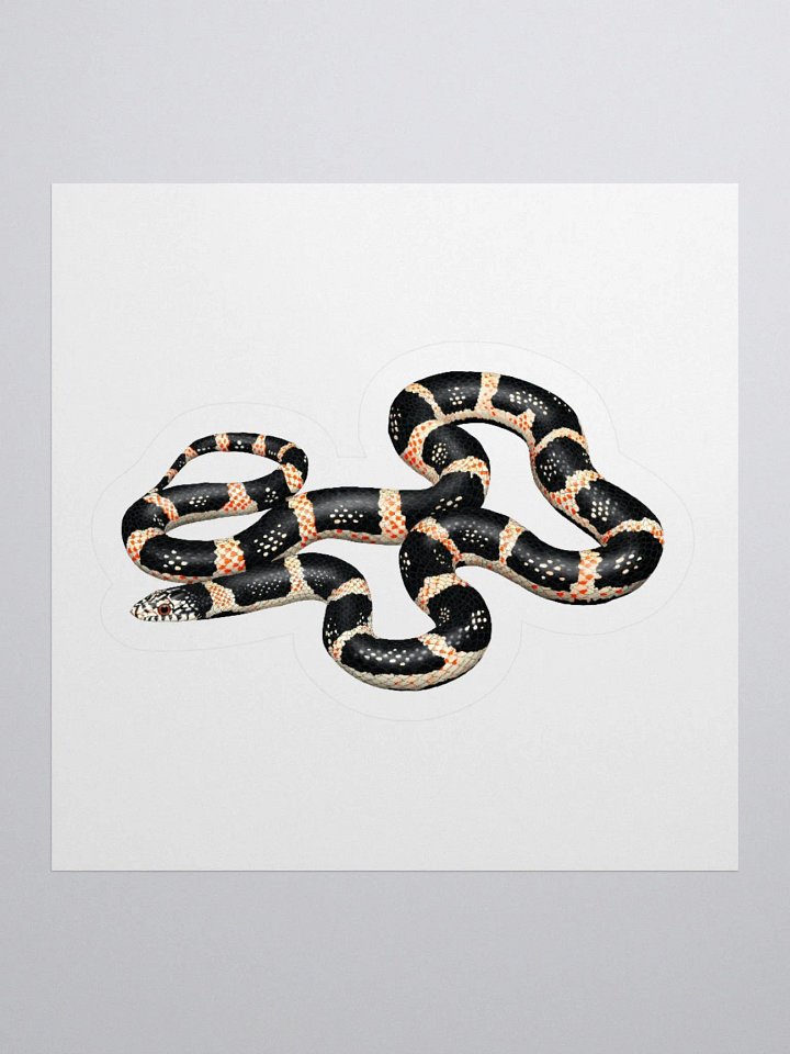 Die-Cut Sticker – Longnosed Snake product image (1)