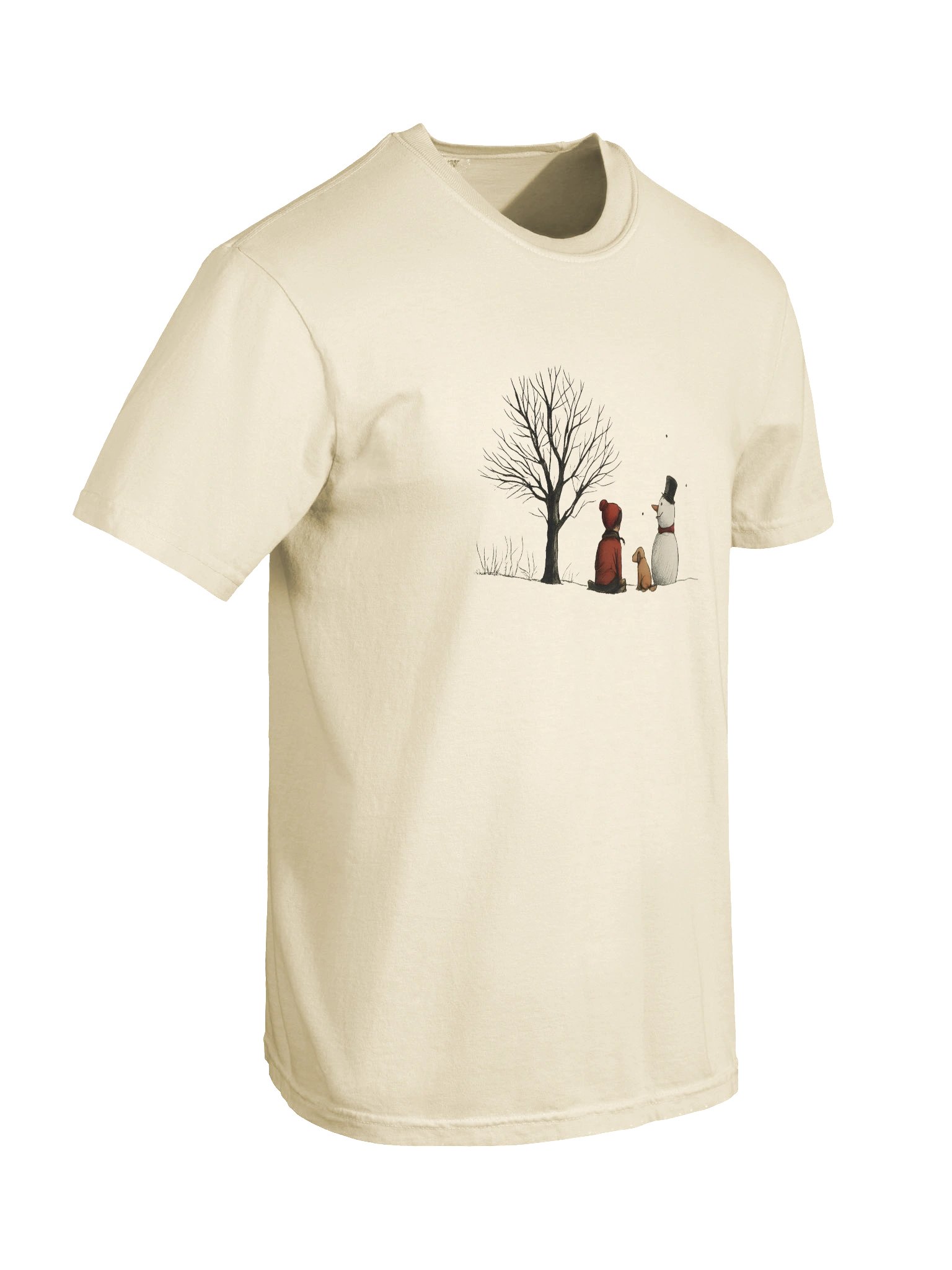 Relaxed Fit Heavy Weight T-Shirt | Comfort Colors Style product image (8)