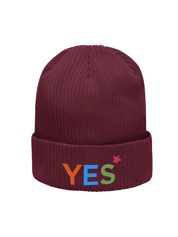 YES Beanie Knit Winter Hat product image (7)