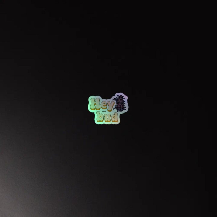 Hey Bud Holo Sticker product image (4)