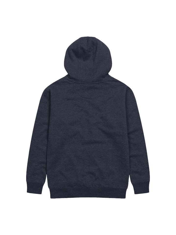 Zyphorix | New Logo Hoodie product image (2)
