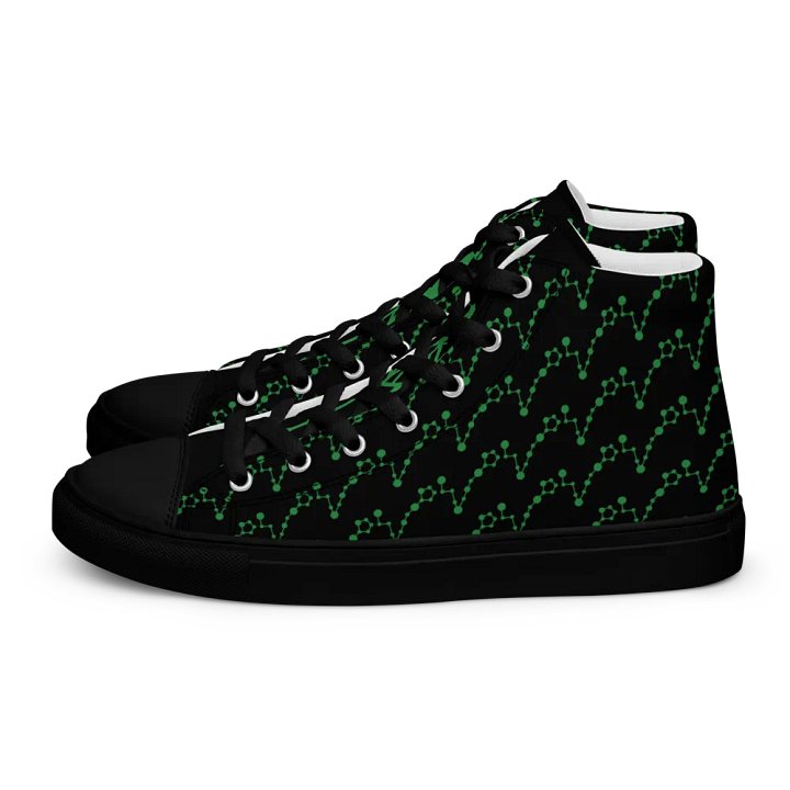 Pisces High Top Canvas Shoes product image (1)