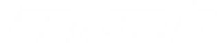 TEAM NETCODE
