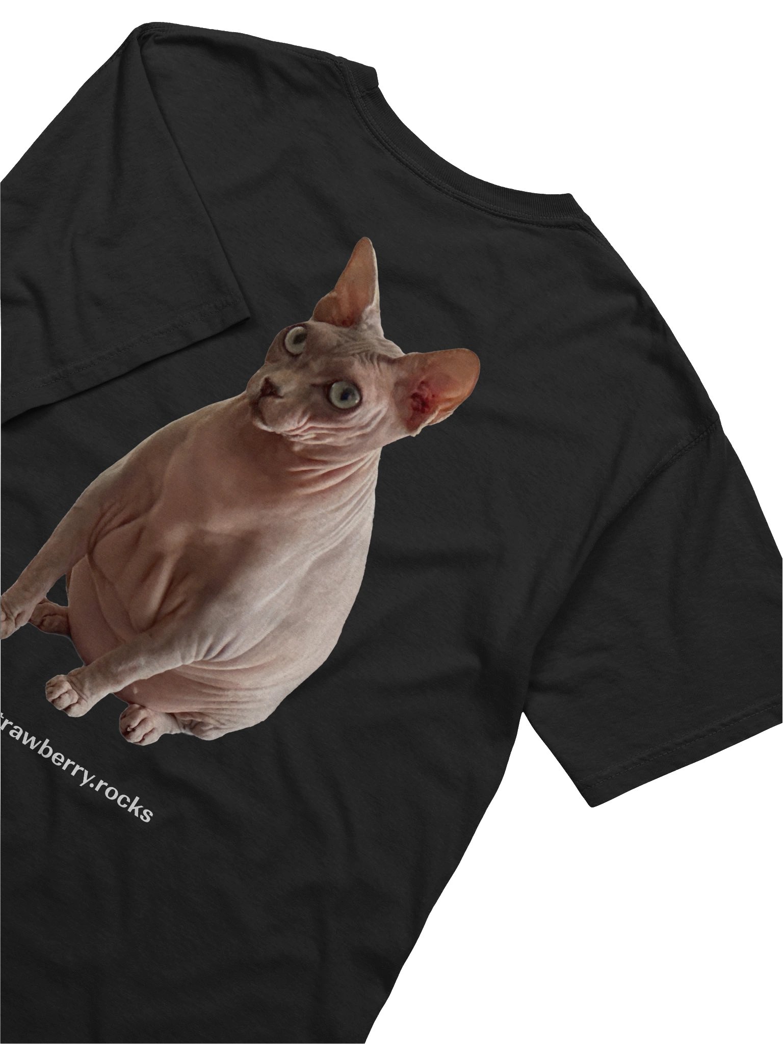 Thiago's cat judging your code product image (6)