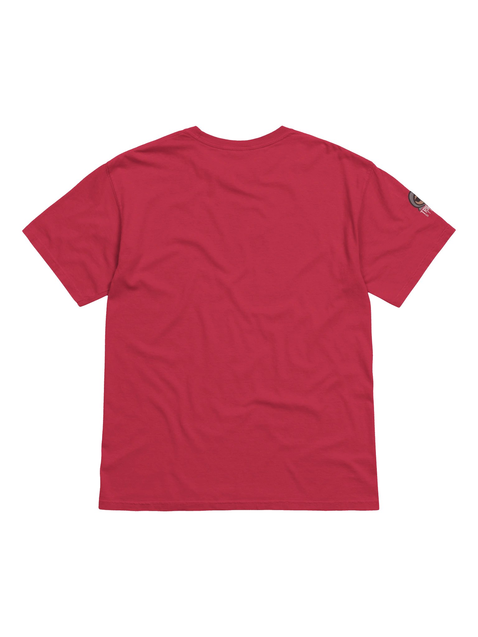 Warning: Graphic Content Unisex Tee product image (29)