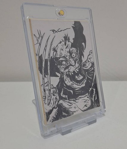 I'm going to start sketching again. My sketch trading cards I drew look great in Mag cases.

Ordered some blanks from @artist...