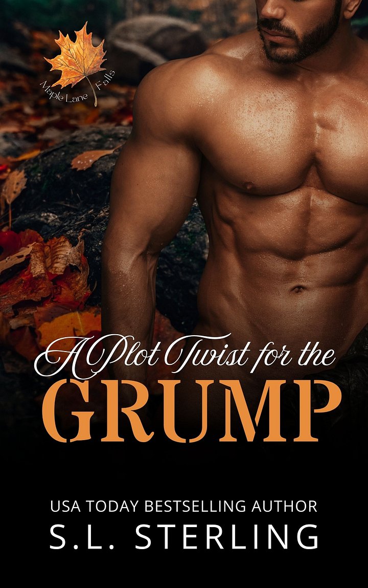A Plot Twist for the Grump - Preorder product image (1)