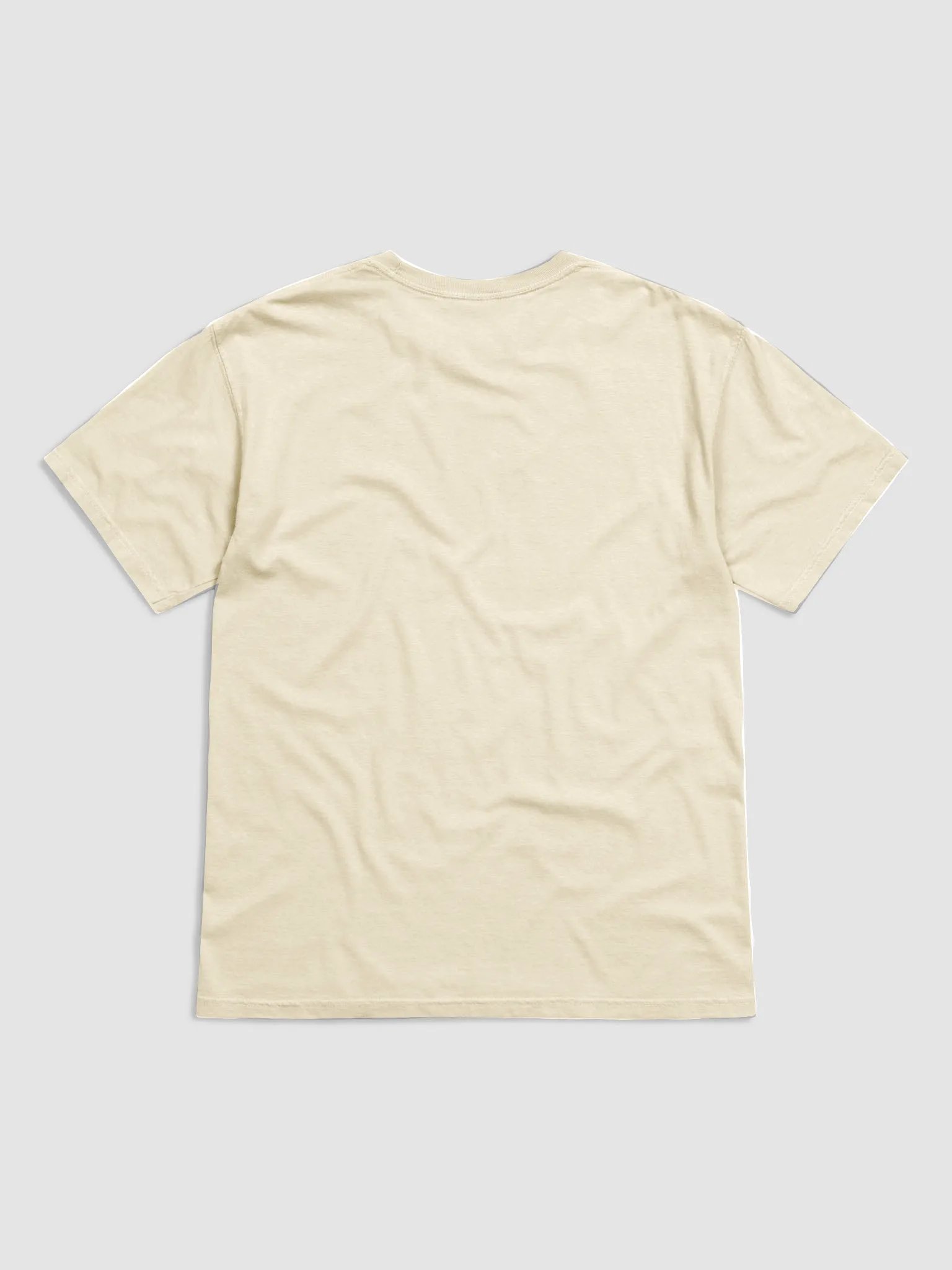 The Tech Savvy Techer, Future Coders Are In My Class Comfort Colors T-shirt product image (15)