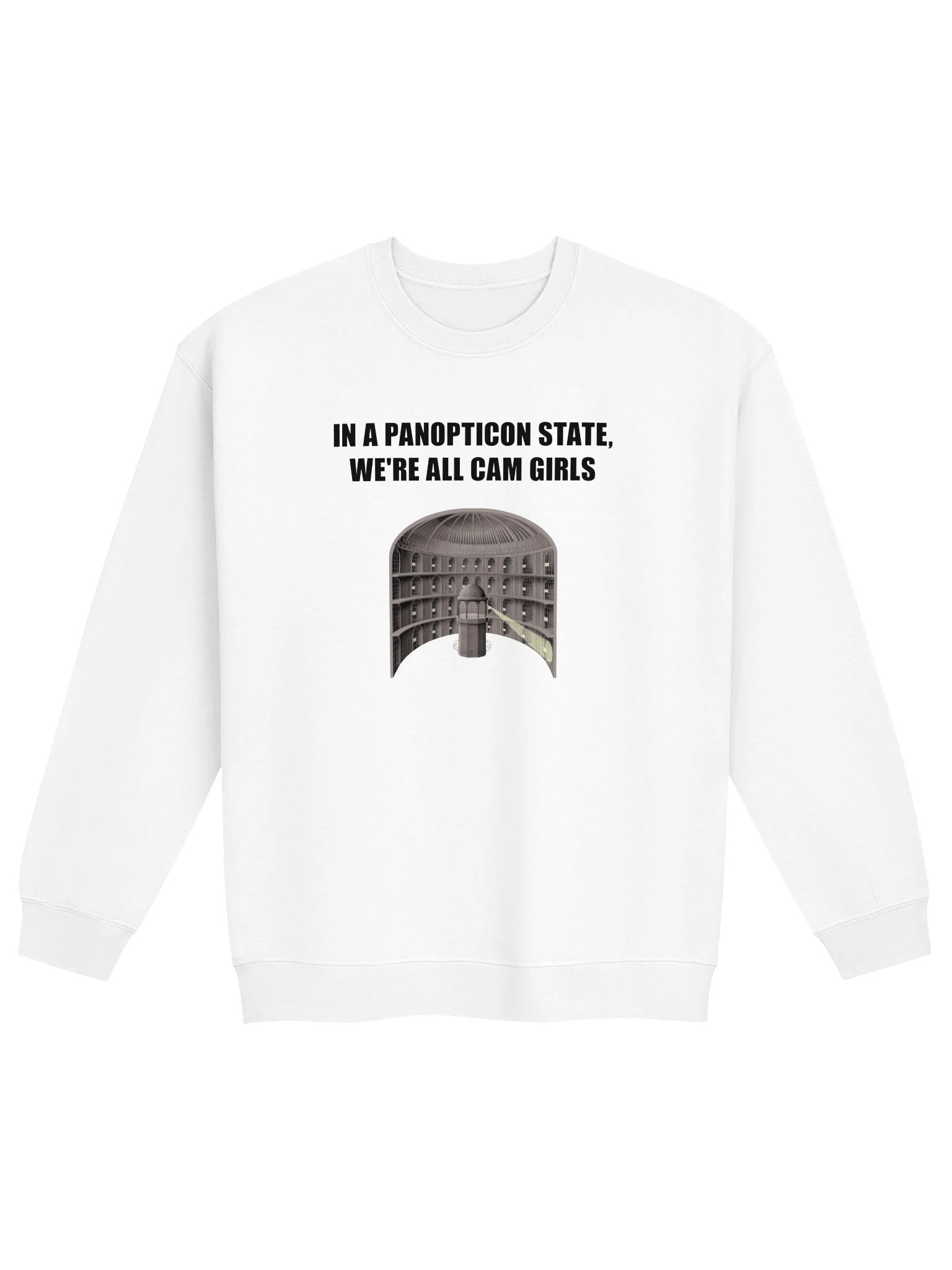 IN A PANOPTICON STATE, WE'RE ALL CAM GIRLS product image (89)