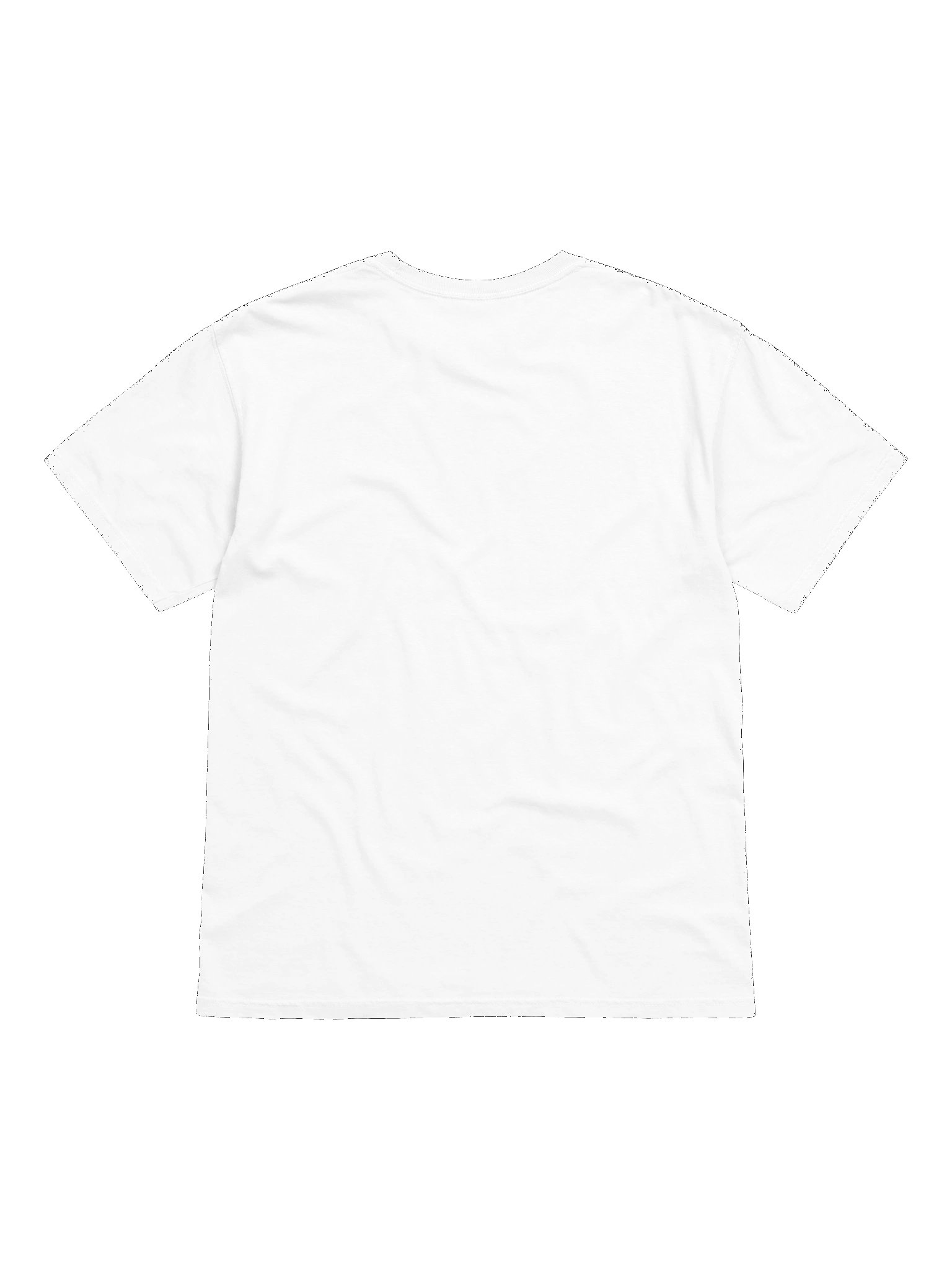 HIDDEN BATTLES T-SHIRT product image (10)