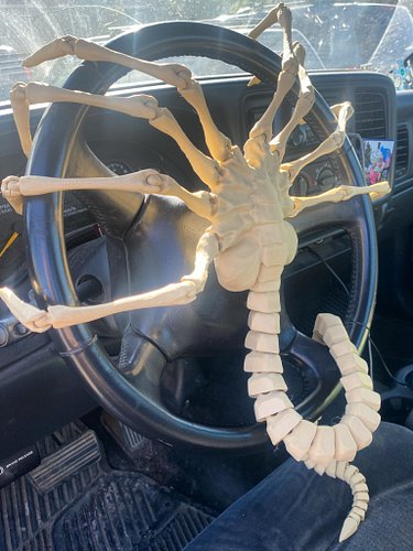 Look at this deeply unsettling thing I got 🥰 #alien #facehugger