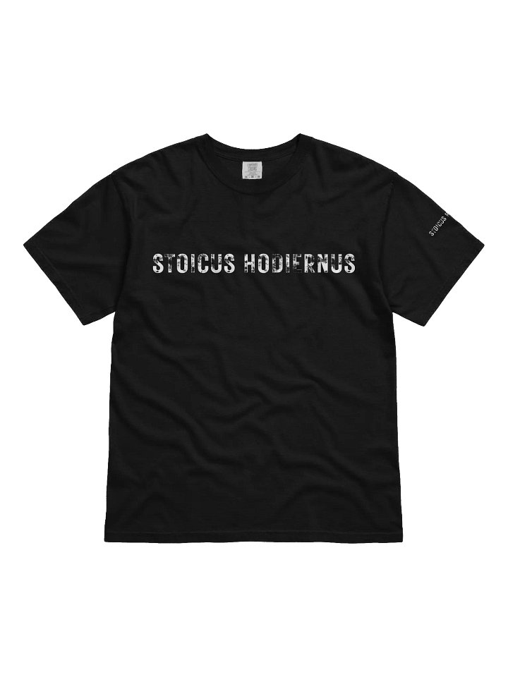 “Stoicus Hodiernus” – Modern Icarus Tee product image (3)